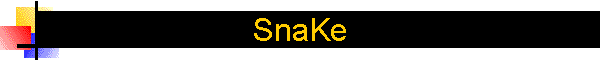 SnaKe